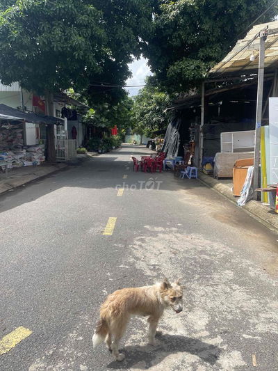 CHO THUÊ NHÀ VƯỜN SÁT VINHOME Q9