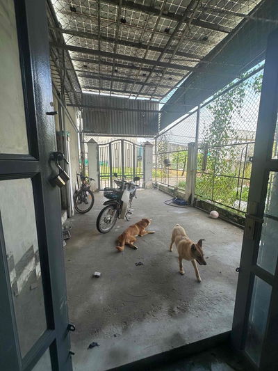 Cho thuê nhà c4 112m2 Giá 5 tr / tháng