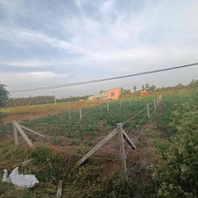 đất nền chính chủ sổ hồng riêng công chứng ngay