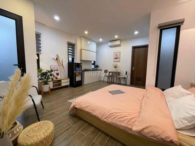 Căn hộ studio mới 100%, full nội thất ngay Trần Đình Xu, Quận 1