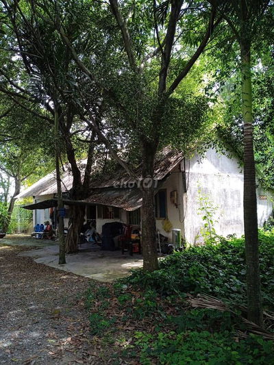 Bán 2.154m2 đất MT đường liên ấp 3-4 xã Phong Phú huyện Bình Chánh