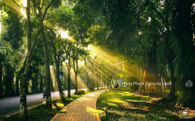 CẬP NHẬT RỔ HÀNG VÀ GIÁ CÁC CĂN CELADON CITY T11.25 - MUA GIÁ GỐC + CÓ THỂ XEM NHÀ NGAY