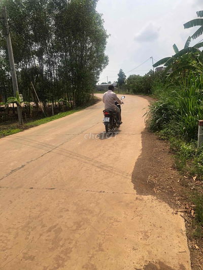 bán lô đất mặt tiền 500m sổ riêng xuân đông- cẩm mỹ