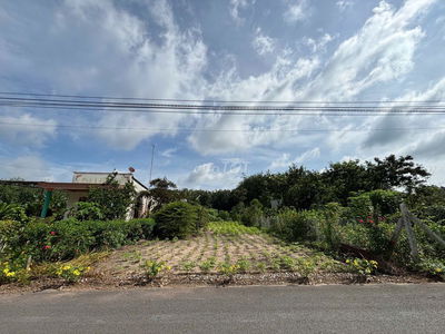 LÔ 225M2 NGAY CỔNG VÀO KCN AN LINH 500HA,RA TRƯỜNG CHỢ 400M