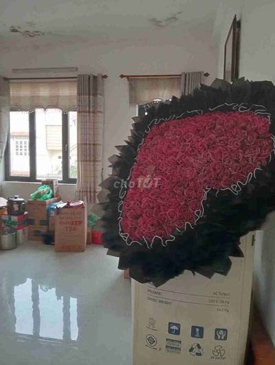 LÔ GÓC MẶT TIỀN LÝ TRIỆN, THANH KHÊ