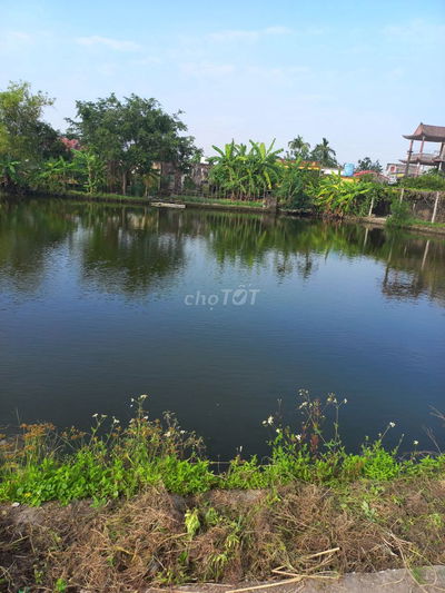 Bán đất TDP An đông, T/T Kiến Xương, H. Kiến Xương, Thái Bình