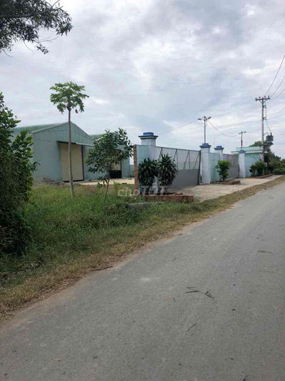 Cho thuê xưởng 2500m. Đường Nguyễn Kim cương. Tân Thạnh Đông. Củ Chi