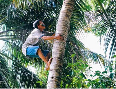 Đất hai mặt kiệt nguyễn văn cừ , Liên Chiểu