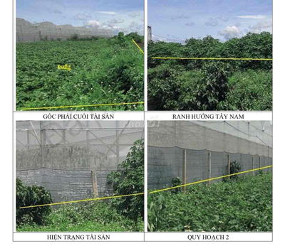 ❌NGỘP BANK CẦN BÁN GẤP ĐẤT 1TỶ6 NGÂN HÀNG ĐÃ ĐỊNH GIÁ HƠN 2TỶ  📍Diện