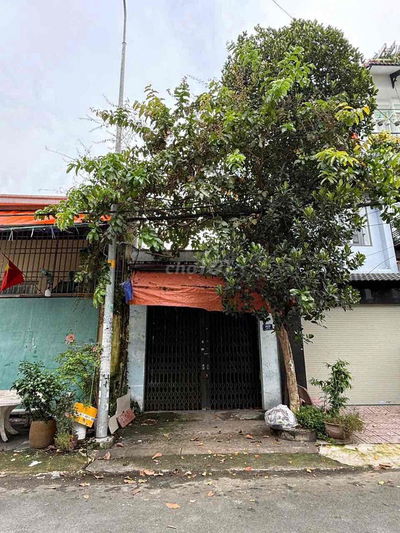 Cho thuê MT Đỗ Bí, P Phú Thạnh, Q Tân Phú - 4x20 - Cấp 4 - 9.5 tr