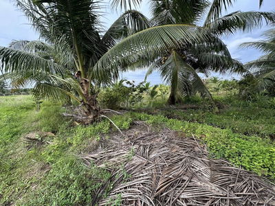 ĐẤT VƯỜN GIÁ RẺ GẦN TRƯỜNG THPT TÂN HIỆP 800tr/1000m2