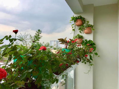 cho thuê sunny plaza phạm văn đồng 2pn full nt