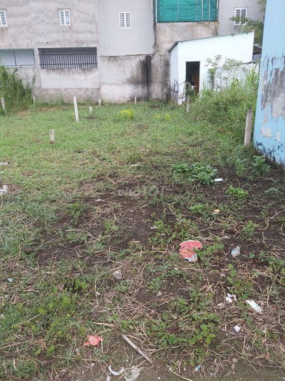 Chính chủ cần bán gấp lô đất thổ cư Lộc Tiền, Mỹ Lộc, Cần Giuộc