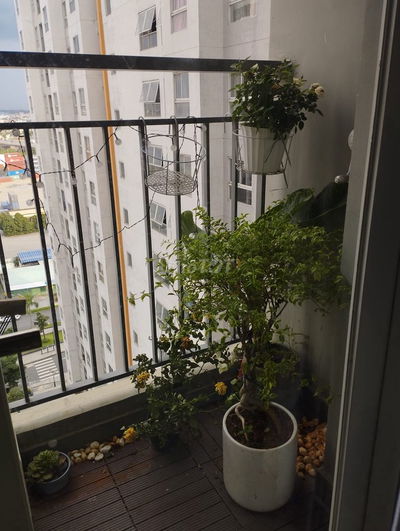 Cho thuê căn hộ Samsora 1PN+,1WC  5,5tr/tháng, full nội thất xịn đẹp