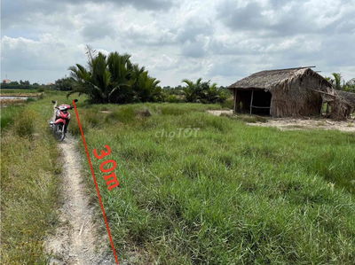 cần bán 1000m tở 30 Phú Đông lộ đá mi xe máy vào đất có 30m mt lộ