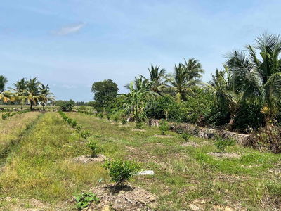 Vườn lập sẵn, 1000m2 giá chỉ 370tr (13x77)