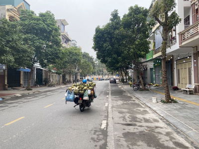 Bán nhà dự án tại KĐT Tuệ Tĩnh 130m2 hàng hiếm tại TP Hải Dương