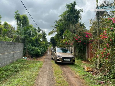 4 Sào đất sầu riêng Đường KA6 - Phường Tân An MỚI