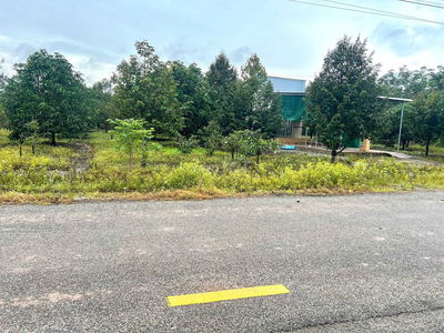 Bán Ngộp Nhà Cấp 4 và Vườn Cây ăn trái, diện tích 1000m2_Giá 550 triệu