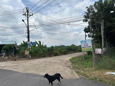 BÁN NHANH GIẢI QUYẾT CÔNG VIỆC MTD DH,505M2 NGANG 15M BAO HẾT GIÁY TỜ