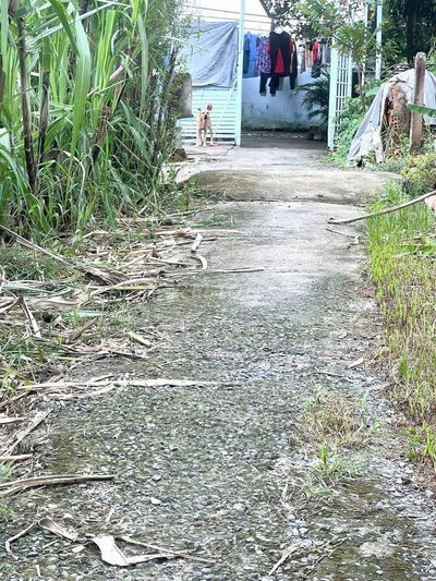 BÁN ĐẤT VƯỜN. GẦN PHẠM THỊ GIÂY NGÃ 5 CHÙA HANG. KHU DÂN CƯ.