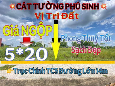 Hàng Ngộp Chủ Bán Lỗ Hơn 400Tr Trục Chính Quá Đep DT : 5*20=100m2 Shr
