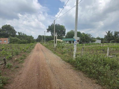 HÀNG HIẾM ĐẦU TƯ - SÁT VÁCH BÌNH CHÂU GIÁ F0! 1000m2 1,95 tỷ