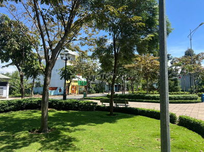 Nhà cần cho thuê hoặc bán, thuê nguyên căn hoặc thuê từng phòng