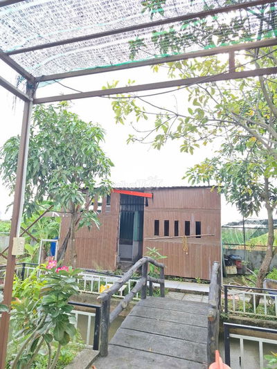 Nhà vườn Bình Mỹ - Củ Chi : 500m2 - SHR - 2 mặt tiền . Giá 2 tỷ