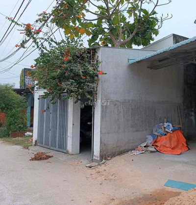 Nhà sổ hồng riêng full thổ cư ấp tràm lạc mỹ hạnh bắc đức hoà long an