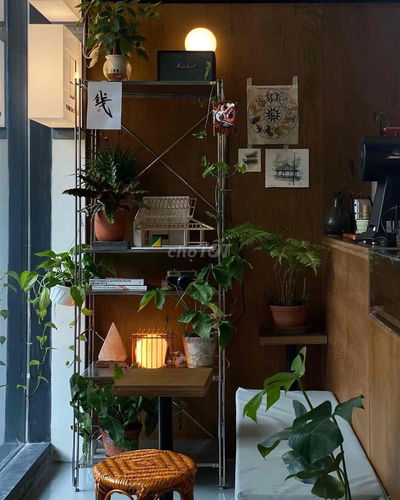 Sang nhượng quán Cafe Shophouse Lumiere An Phú, Q2