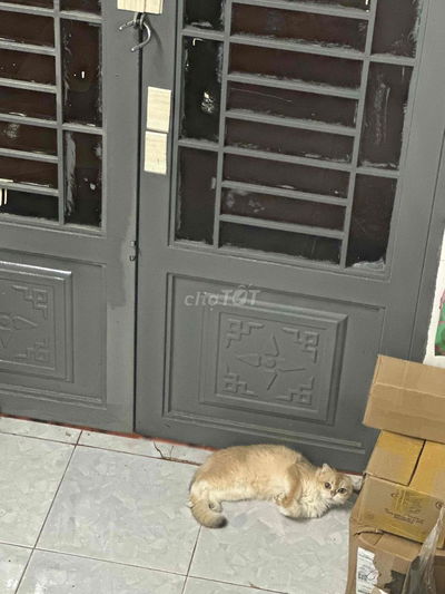 Phòng trọ - pass phòng