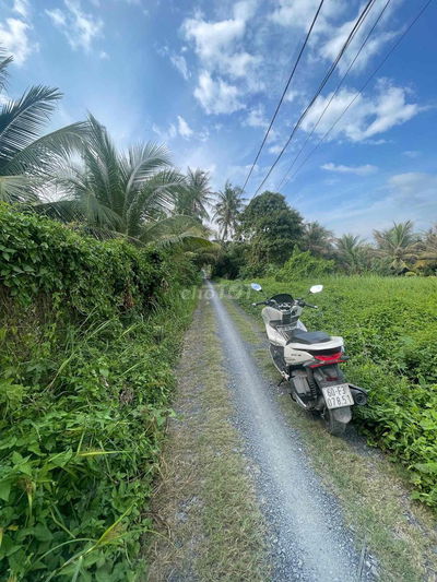 🌿 Đất Thổ Cư lớn, 1 xẹc Nhị Bình 12 – Hóc Môn- TPHCM