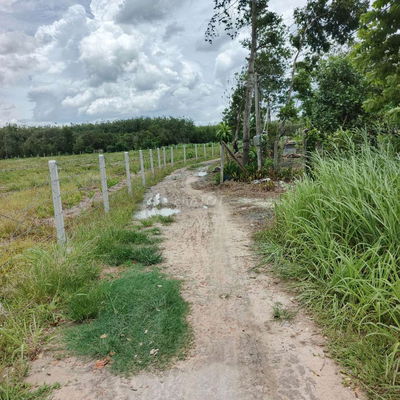 Gần 2 công đất trường hòa. Chỉ 675 triệu 1công