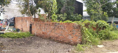 Bán đắt trồng cây lâu năm 4*15
