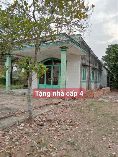 1351m đất lúa ngang 55m dải 25m ( khu vực được chuyển thổ cư )✅ Xã Phư