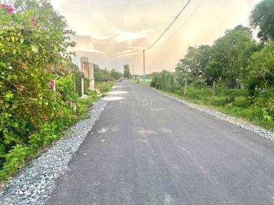 Mt đường nhựa, dt 245m, có 156m thổ, xã Tân An Hội (mới).