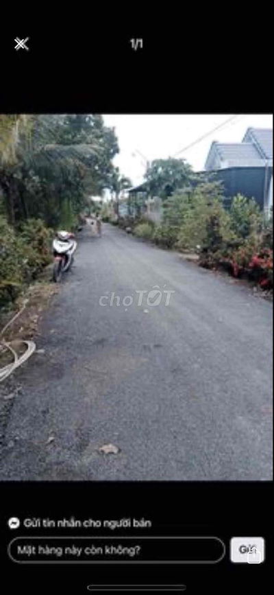 Đất Sầu Riêng 53x112m, 2MT, 6Công, 750tr/Công