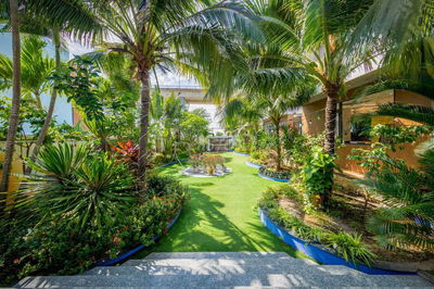 Biệt thự 3.5 tầng, 290m2 đất đường Lê Văn Duyệt, Nại Hiên Đông, TP ĐN