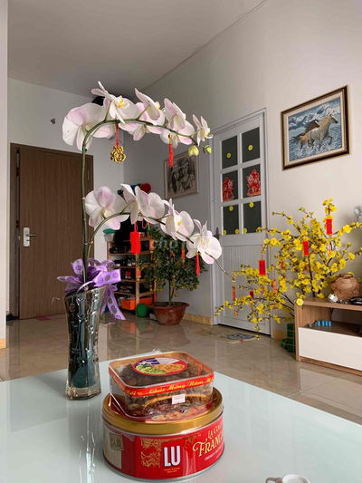 cho thuê căn hộ Luxcity. full nội thất