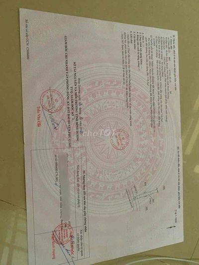 218m2 đất Cà Na - An Bình, Phú Giáo giá 530tr