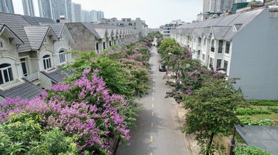 BẢNG HÀNG BIỆT THỰ, LIỀN KỀ CHUYỂN NHƯỢNG MỚI NHẤT THÁNG 11/2025 TẠI GELEXIMCO LÊ TRỌNG TẤN - HĐ