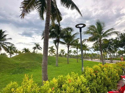 Bán cặp đất liền kề Cồn đâu 23 kẹp vệt cây xanh . Gần Nguyễ