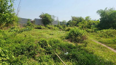 Bán đất thổ cư Đức Hòa Long An 250m2.