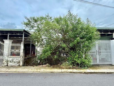 Cần tiền bán gấp 220m2 Nguyễn Văn Tỷ, thị trấn Củ Chi giá620 triệu SHR