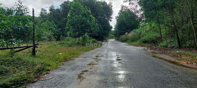 Đất hồ sơ đo đạc view suối 970m2 mặt tiền đường nhựa 2 oto