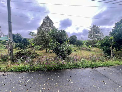 Bán Đất Gần Chợ, Diện tích 1000m2 Đất Vườn Có Thổ 200m2, Giá 490 triệu