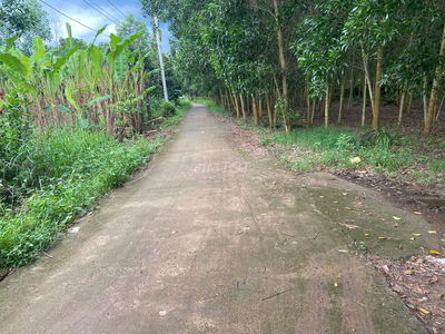 CHỈ 1,4 TỶ SỞ HỮU NGAY LÔ ĐẤT 3500M2 ĐÃ TÁCH RA 03 SỔ