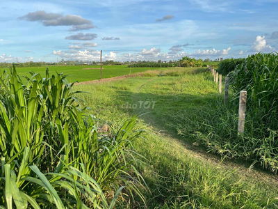 Đất chính chủ (14x90)m2