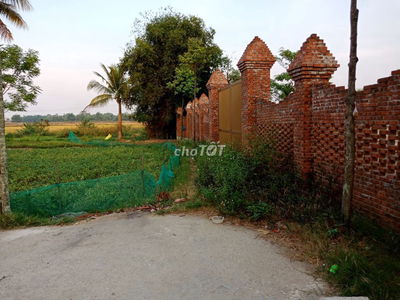 Cc cần bán 1500m2 đất thổ cư toàn bộ ở Hoà Khương, view đẹp